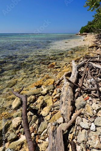 Photos The shore around Cabo Cruz fishing village made of coral rocks and dotted with debris of tree branches, in the Granma Landing Park