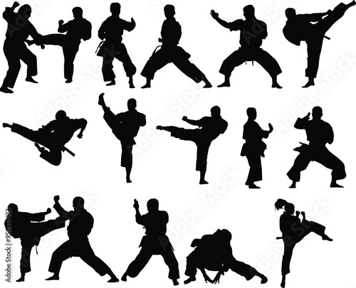 Set of karate people pose silhouette illustration