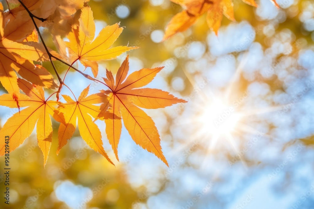 Maple leaves in autumn sunny day , ai Maple leaves in autumn sunny day , ai