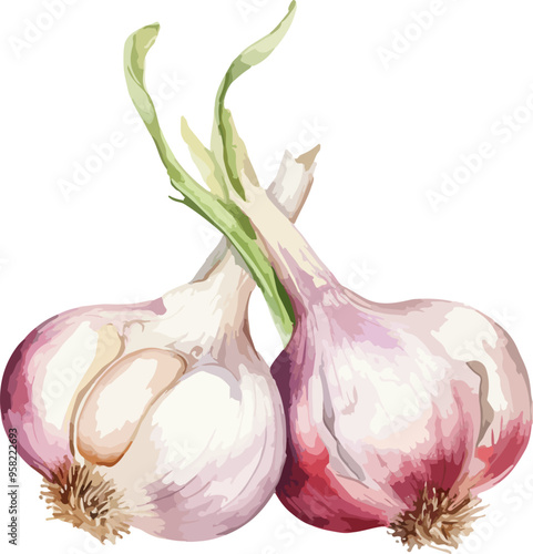 Garlic clipart desing illustration