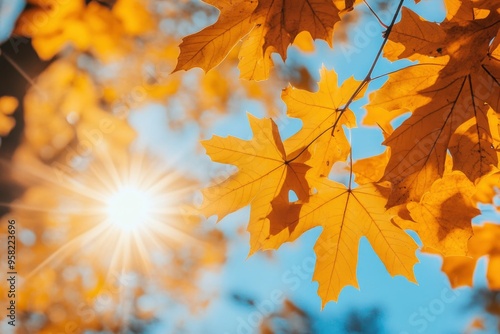 Maple leaves in autumn sunny day , ai