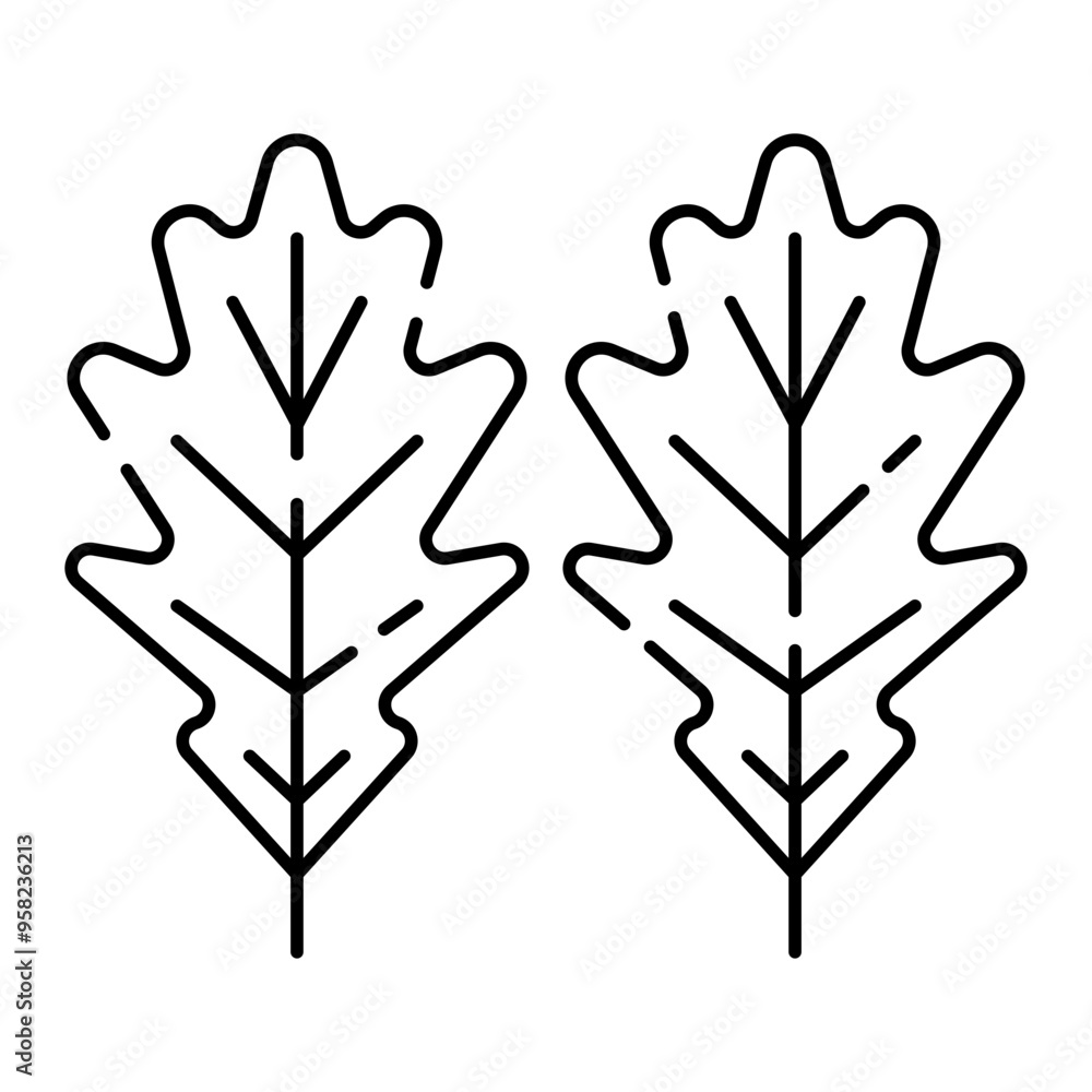 Obraz premium oak leaf