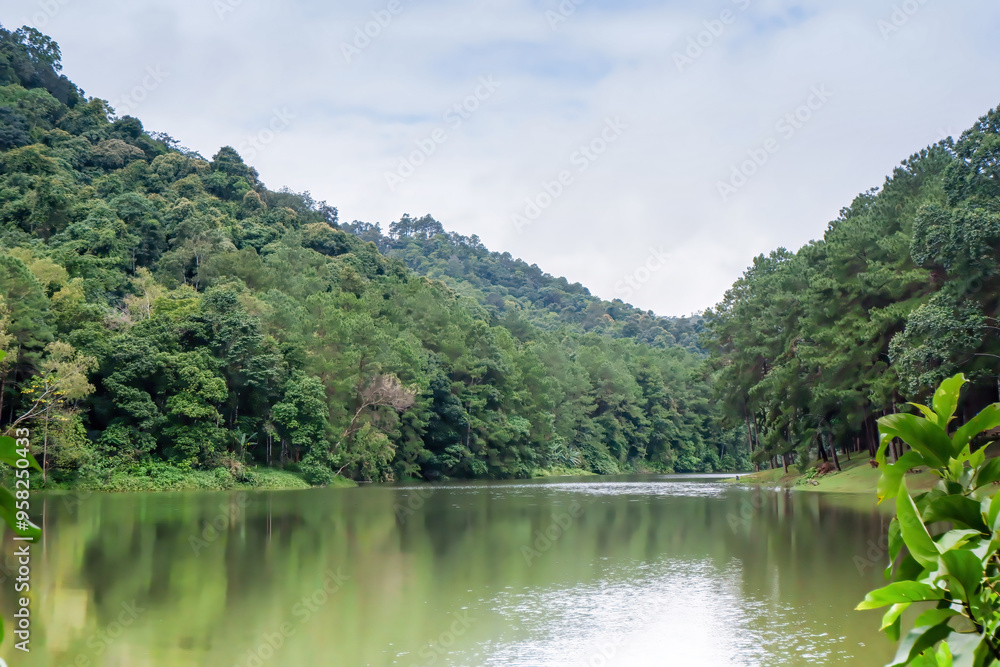 Pang Ung is a tourist attraction in Mae Hong Son, Northern Thailand with scenic alpine lake and pine trees. Thai words translate to Pang Ung Reservoir, Iffigation Work Thailand.
Pang Ung is a tourist attraction in Mae Hong Son, Northern Thailand with scenic alpine lake and pine trees. Thai words translate to Pang Ung Reservoir, Iffigation Work Thailand.