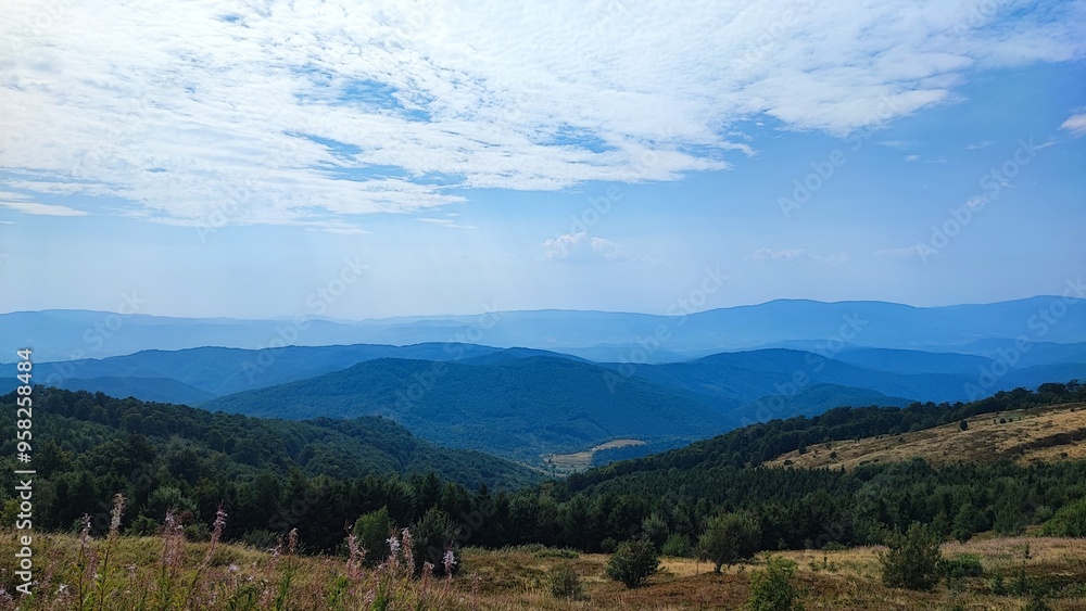 Fototapeta premium Karpaty mountain