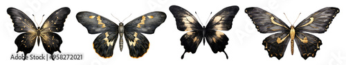 Elegant black and gold butterflies png cut out element set