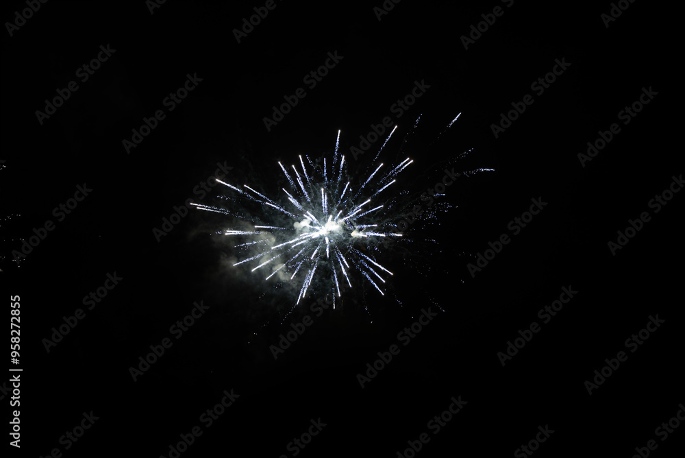 Fototapeta premium fireworks in the night sky