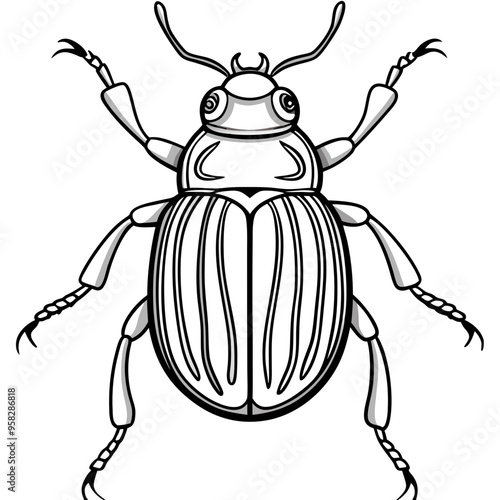macro vector ilustartion of beetle insect 