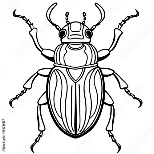 macro vector ilustartion of beetle insect 