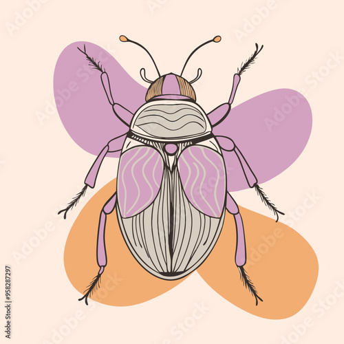 macro vector ilustartion of beetle insect 