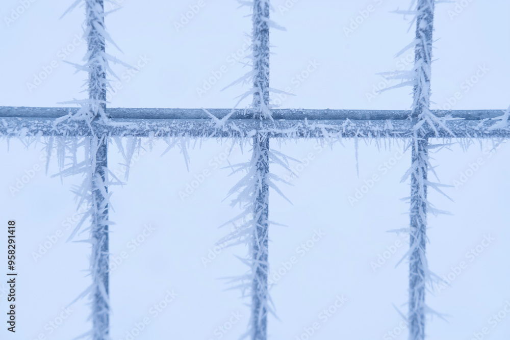beautiful cold frost-covered fence with icy iron rods, crystal frost, frosty morning, winter weather concept, background for wallpaper beautiful cold frost-covered fence with icy iron rods, crystal frost, frosty morning, winter weather concept, background for wallpaper