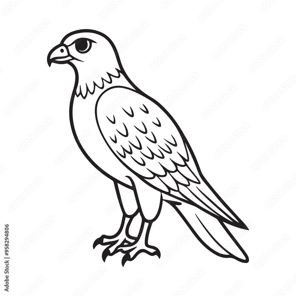 Harrier bird line art vector silhouette with white Background