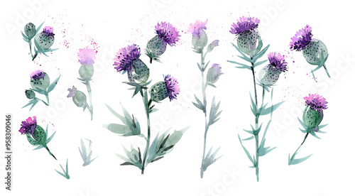 Photos A set of summer wildflowers growing in a field on a white background