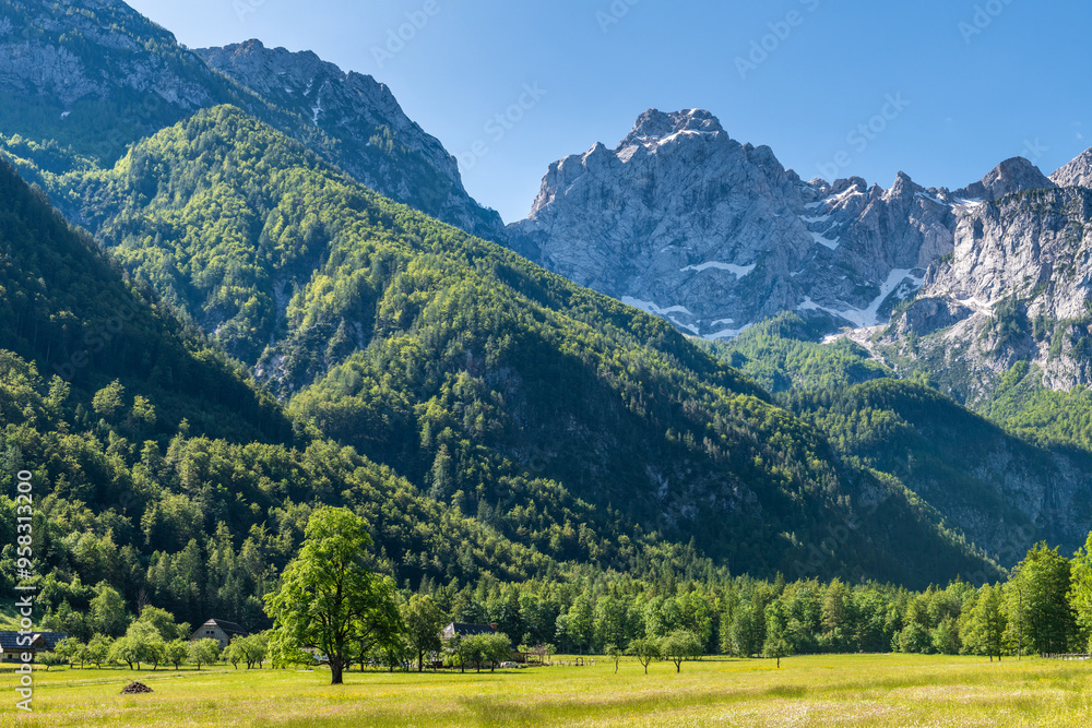 Fototapeta premium Logar Valley in Slovenia Alpine landscape at summer