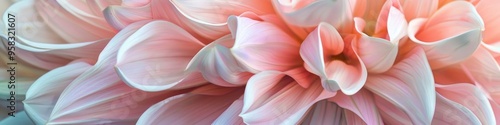 CloseUp of Soft Pastel Flowers with Gentle Petals and Delicate Hues in Natural Light