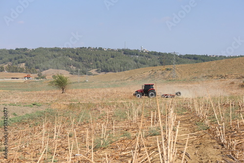  tractor shredding sunflower stubble. Mulching process in sunflower field.  photo