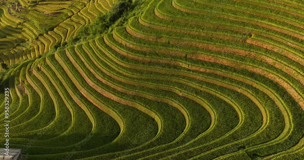 The terraced fields in Mu Cang Chai, Yen Bai during harvest season are beautiful. Photo taken in Yen Bai on October 4, 2023. The terraced fields in Mu Cang Chai, Yen Bai during harvest season are beautiful. Photo taken in Yen Bai on October 4, 2023.