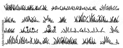 Doodle grass. Sketch natural field grass. Outline hand drawn wild grassy plants. Organic herb silhouette, patterns and blades. Springs garden herbal and grasses border, vector set.