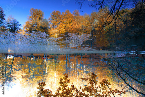 Belgrad Forest is a naturally occurring woodland area located on the easternmost tip of the Çatalca Peninsula, on the European side of Istanbul province. photo