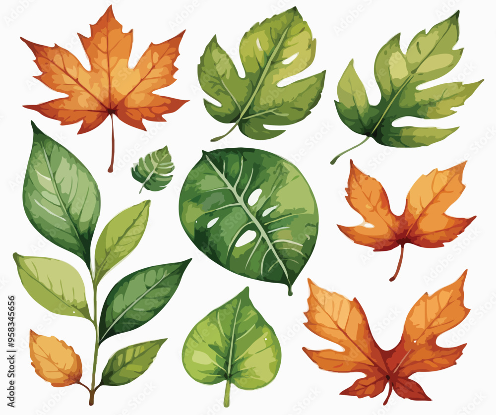 autumn leaves collection autumn leaves collection