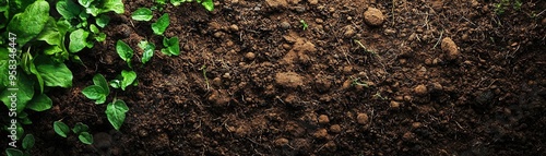 Healthy soil texture with rich organic material, soil health, sustainable farming, copy space