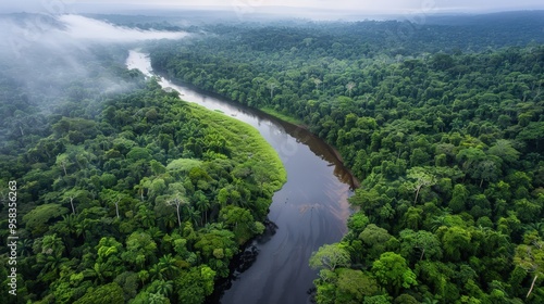 Rainforests play a critical role in the global water cycle by generating moisture through transpiration and influencing regional weather patterns.