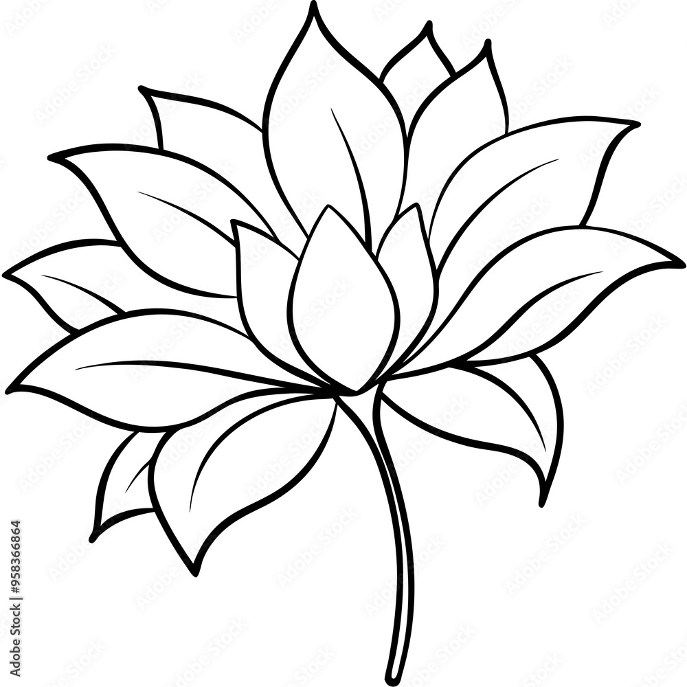black and white flower black and white flower