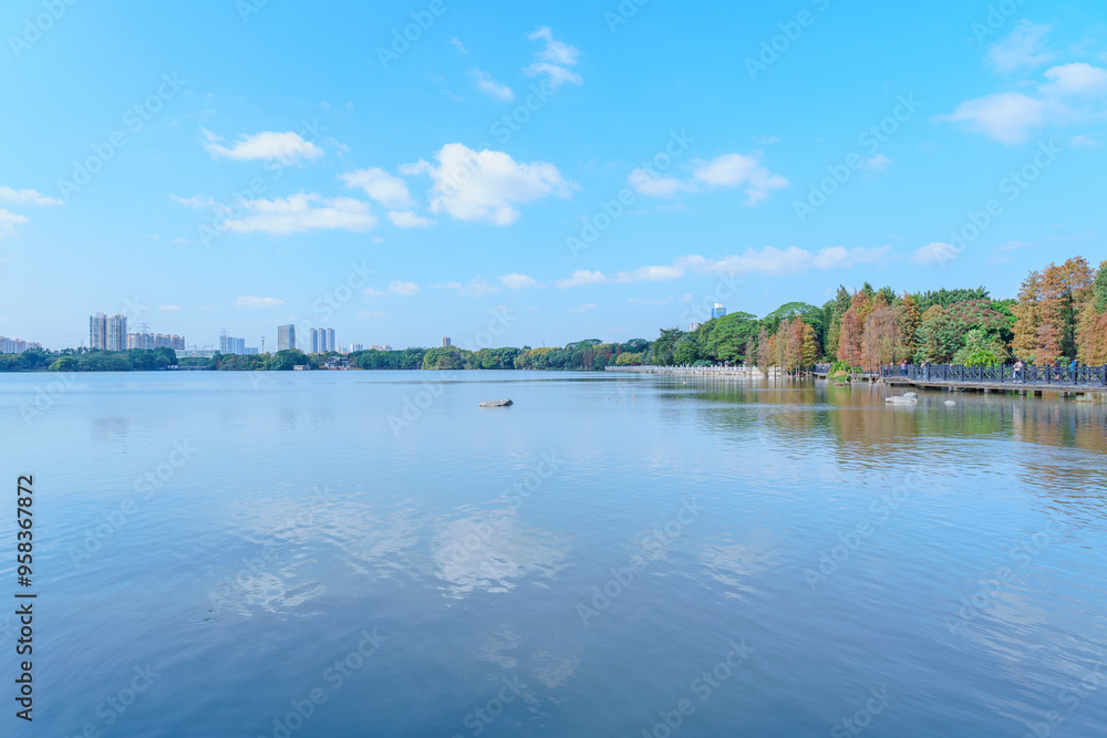 Guangzhou Haizhu Lake Park Lakes and Groves of Larch Trees Guangzhou Haizhu Lake Park Lakes and Groves of Larch Trees