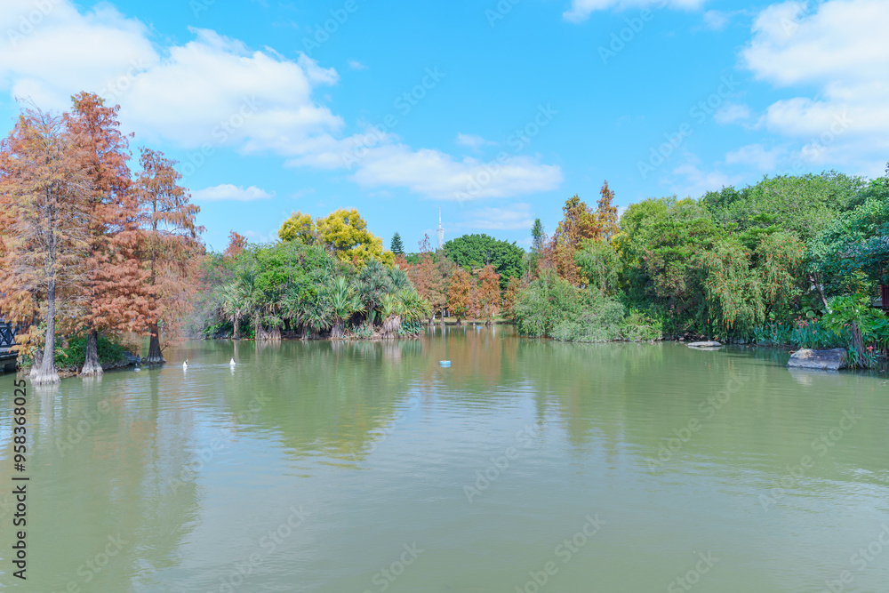 Guangzhou Haizhu Lake Park Lakes and Groves of Larch Trees Guangzhou Haizhu Lake Park Lakes and Groves of Larch Trees