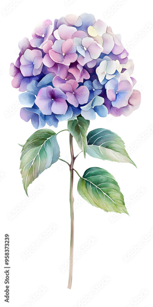 Beautiful Hydrangea flower watercolor illustration clipart, Beautiful Botanical, Blooming watercolor flower, Generative AI Beautiful Hydrangea flower watercolor illustration clipart, Beautiful Botanical, Blooming watercolor flower, Generative AI