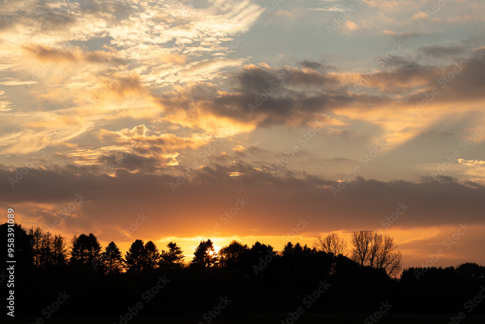 Fototapeta premium Sunset with beautiful clouds and tree silhouette in the foreground