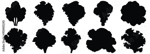 Lettuce silhouette set vector design big pack of vegetable illustration and icon