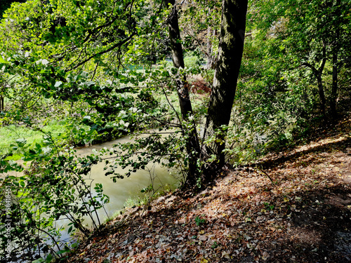 Widok na park