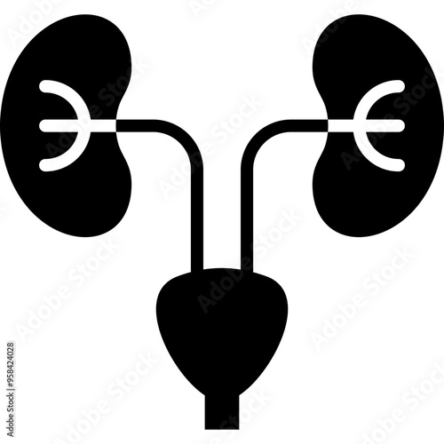Nephrology Icon