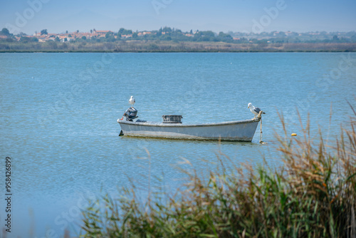 Wallpaper Mural Small Traditional Fishing Boat With Seagulls Resting On It Floating In The Pond. Boat Anchored Without People. Nets Lying In The Water In The Foreground. Seascape. ( éTang Canet-saint-nazaire) Torontodigital.ca