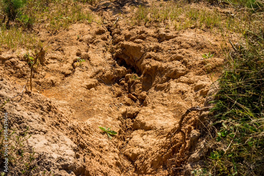 Top-down view of a rain-eroded sand slope Top-down view of a rain-eroded sand slope