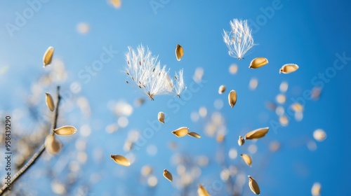 Macro shot of seeds being dispersed by wind, floating gracefully against a clear blue sky, emphasizing the natural spread of plant life photo