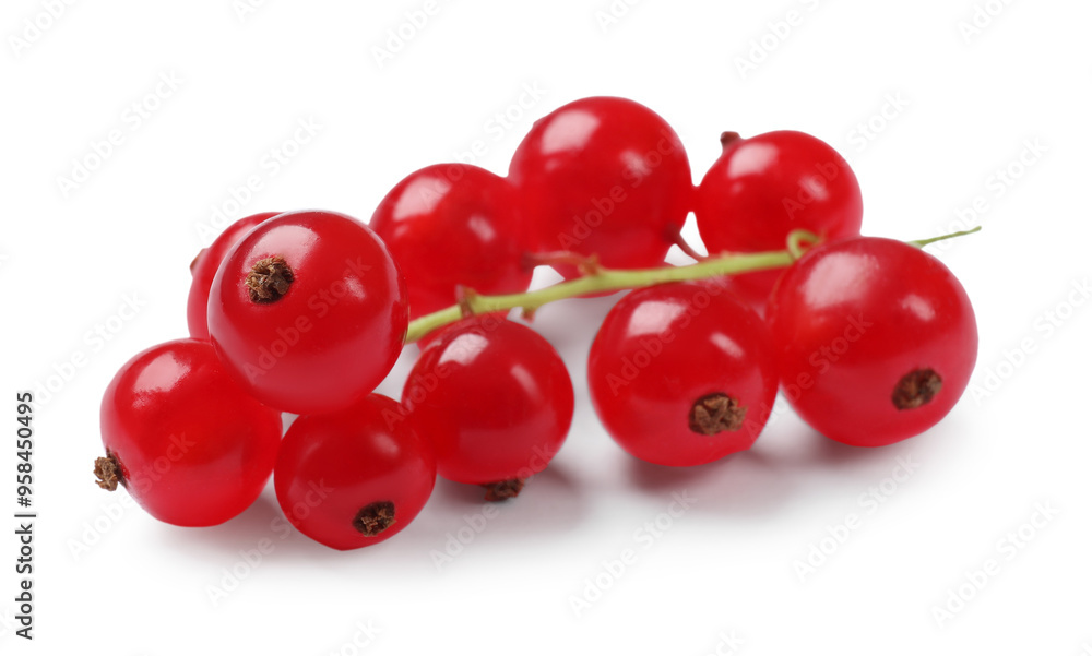 Fresh ripe red currants isolated on white Fresh ripe red currants isolated on white