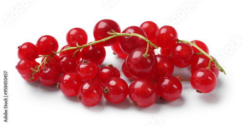 Fresh ripe red currants isolated on white