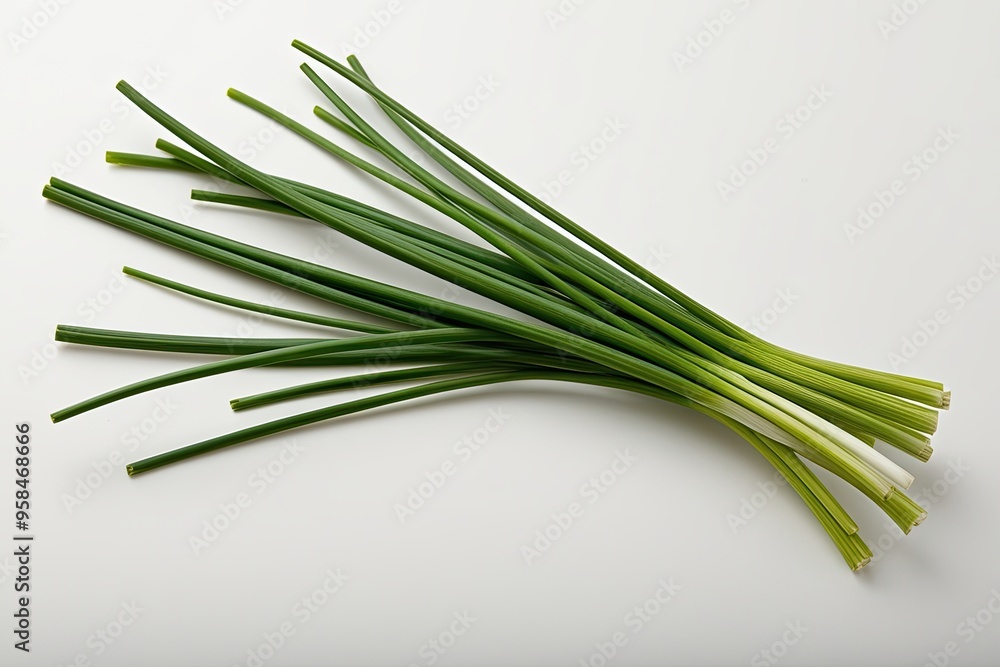 Fresh Green Chive Stalk Isolated on Bright White Background for Culinary Use Fresh Green Chive Stalk Isolated on Bright White Background for Culinary Use