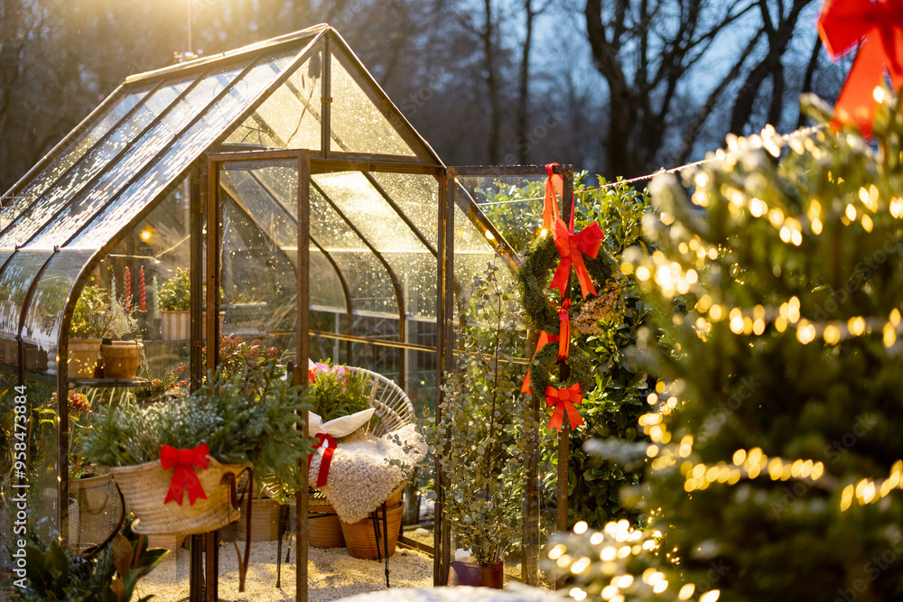 Obraz premium Lush Christmas tree illuminated with garland and decorated with red bow on top at beautiful backyard on dusk