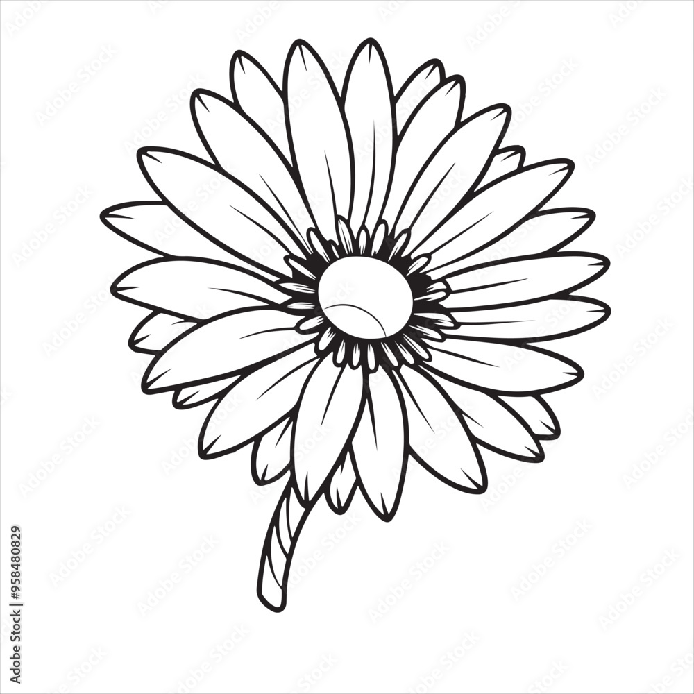 Fototapeta premium Daisy Flower Vector Art Illustration