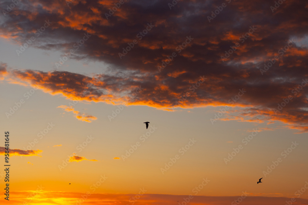 Obraz premium sunset over the sea