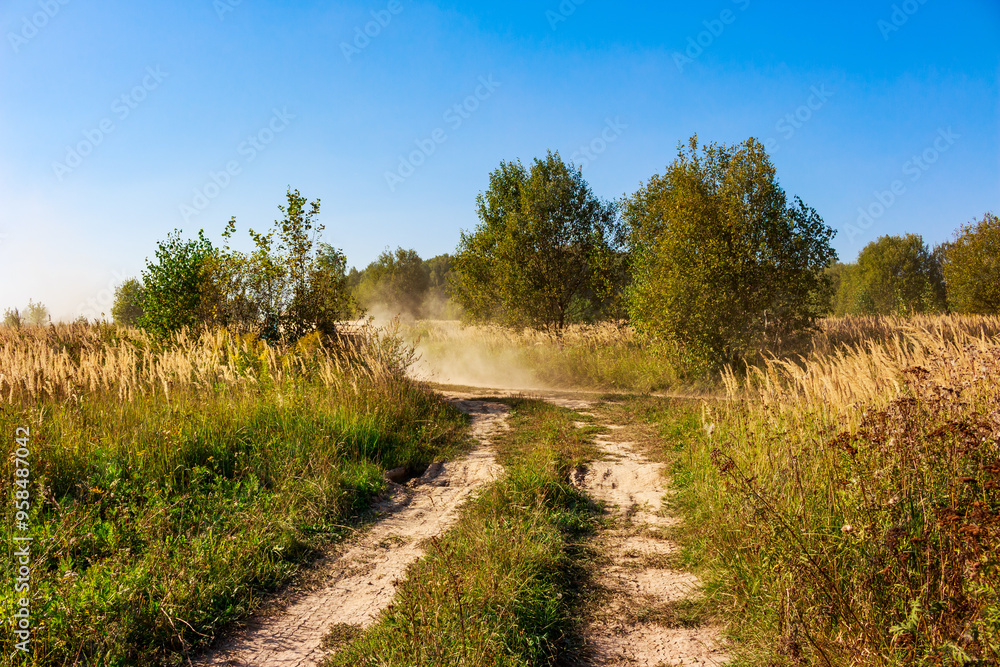 Dirt country road in a wild field Dirt country road in a wild field