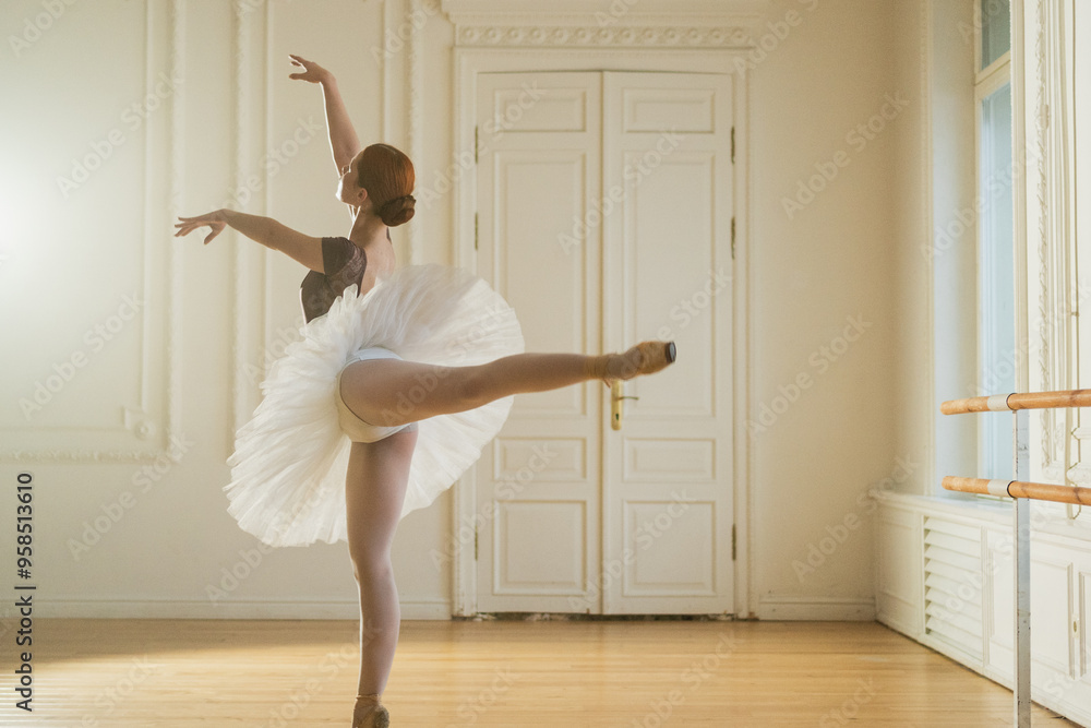 Young ballerina in tutu skirt dancing practicing ballet positions in dance class. Young classical dancer woman in dance studio. Ballet class training. Ballet school concept Young ballerina in tutu skirt dancing practicing ballet positions in dance class. Young classical dancer woman in dance studio. Ballet class training. Ballet school concept