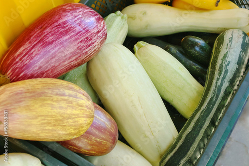 A farm market with ripe seasonal vegetables, including zucchini, pumpkin, pattypan squash, carrot, beetroot. All look fresh and affordable to buy.
