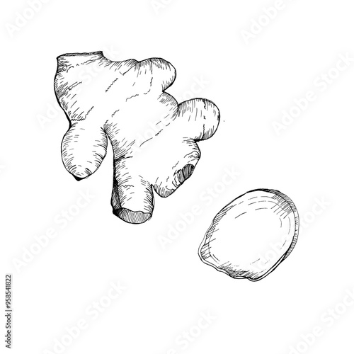 Ginger root ad slice ink graphics. Hand drawn monochrome food illustration, hot spice vegetables, relish for tea, asian soup. For product packing, label, logo design