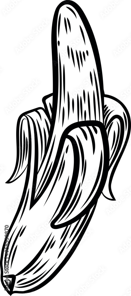Peeled banana line drawing vector isolated on white background. Peeled banana line drawing vector isolated on white background.