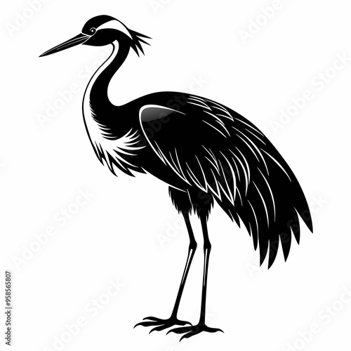 Crane Bird silhouette vector illustration