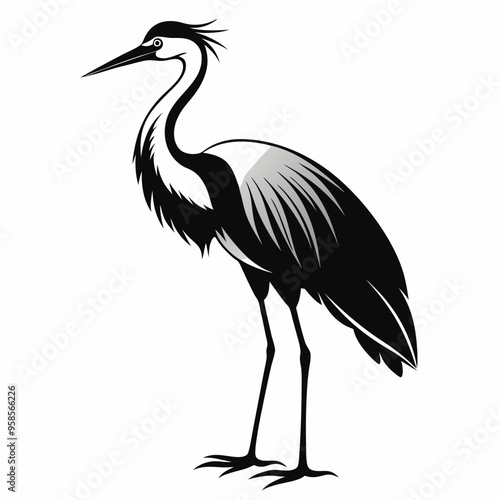 Crane Bird silhouette vector illustration