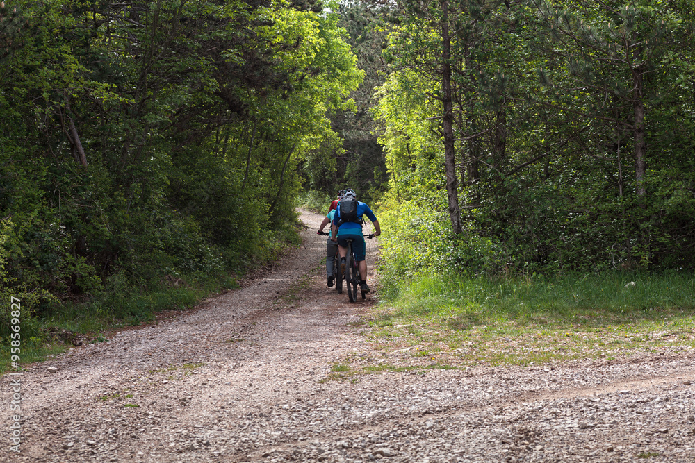 Friends mountain biking on MTB in the forest, rear view Friends mountain biking on MTB in the forest, rear view